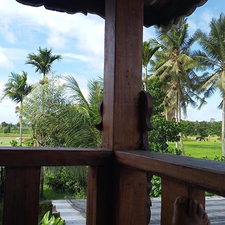 Bujak Permai Villa Kangkung Mantang Bagian luar foto